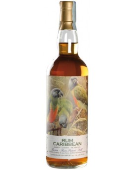 Rum Caribbean Fusion 2008...